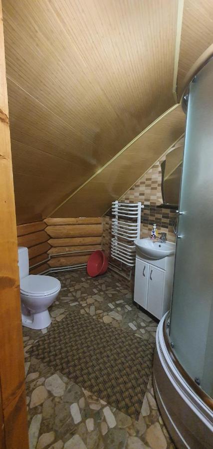 미쿨리친 Прутець 빌라 외부 사진